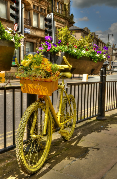 Vintage Bicycle Planter